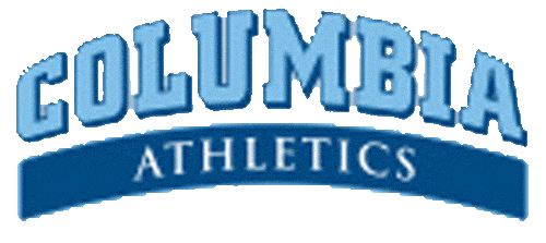 Columbia Lions 2006-Pres Wordmark Logo diy fabric transfer
